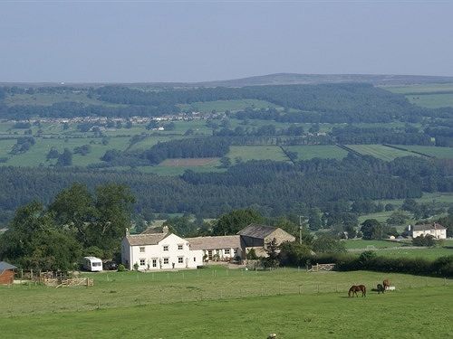 Bed and Breakfast Capple Bank Farm Wensley Esterno foto